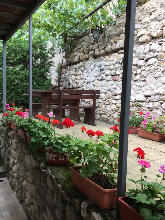 Toni'S Guest House Melnik  Exterior foto
